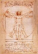 LEONARDO da Vinci Rule fur the proportion of the human figure oil